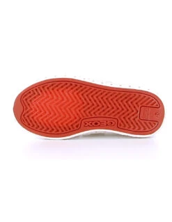 GEOX CIAK - Baskets -GDC Boutique geox ciak j3504g 01054 c0050 5