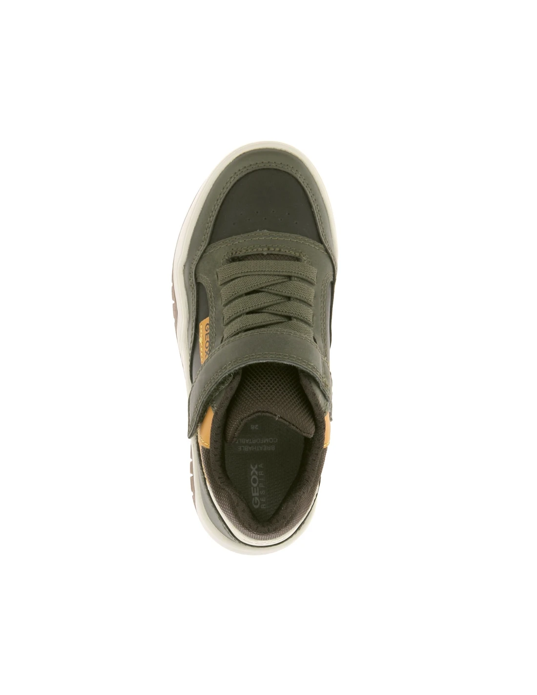 GEOX PERTH - Baskets 5 GEOX PERTH - Baskets – Image 5