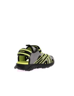 GEOX SANDAL AIRADYUM BO - Sandales & Nu-pieds -GDC Boutique geox sandal airadyum bo j55f1a01454c0666 3